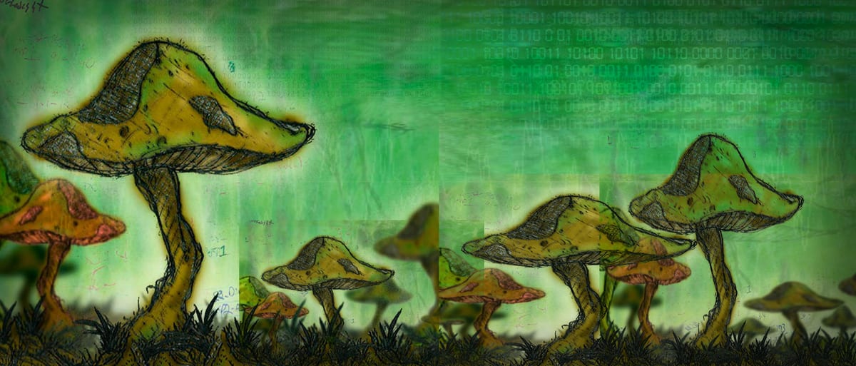 Sentience, image 3